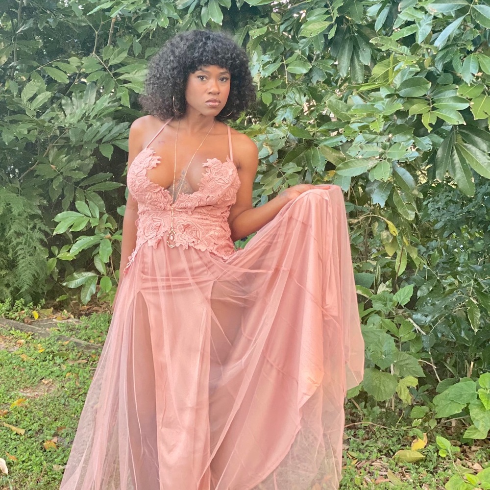 Touch of Blush Cheeky Dress- NEW!